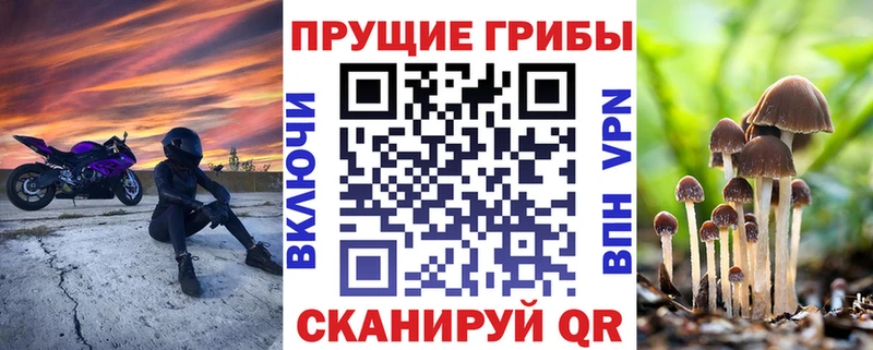 Псилоцибиновые грибы мицелий  Отрадное 